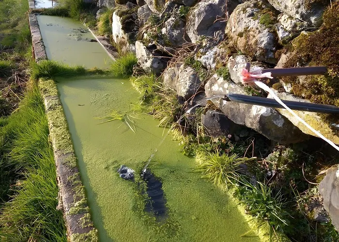 La Maison De Jeannine Et Maurice Holiday home